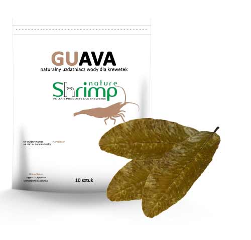 Shrimp Nature Guava