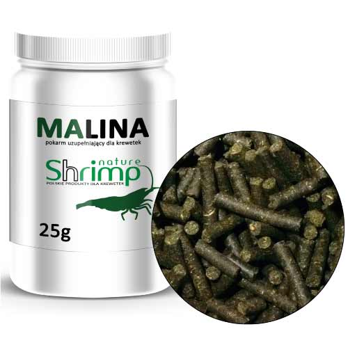 Shrimp Nature Malina