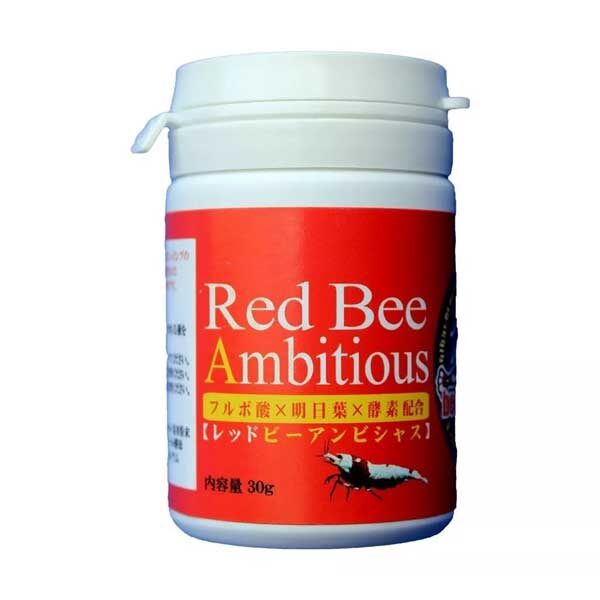 Benibachi Red Bee Ambitious