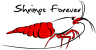 Shrimps Forever logo